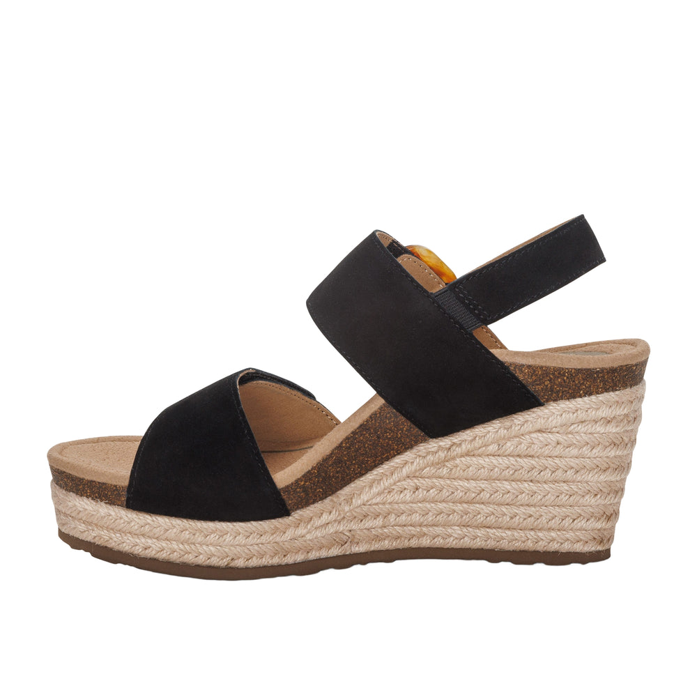 
                      
                        Ashley Wedge
                      
                    