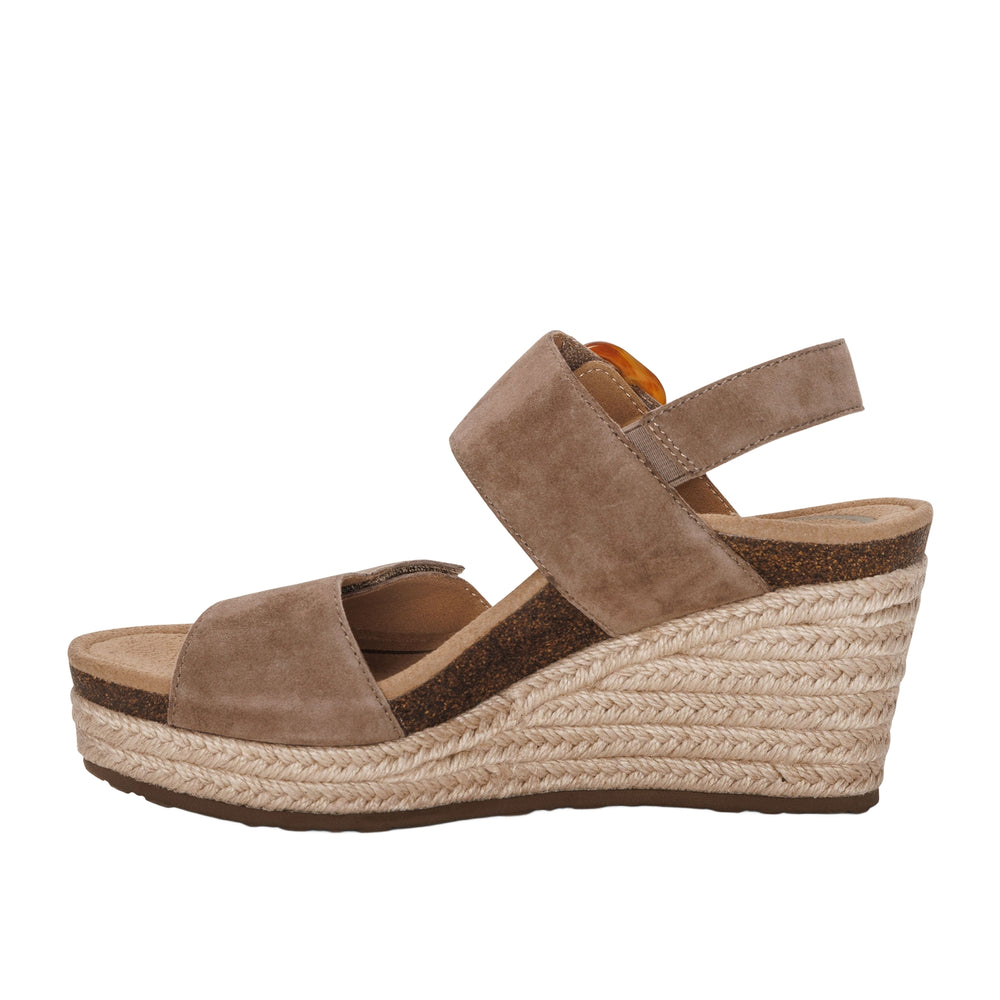 
                      
                        Ashley Wedge
                      
                    