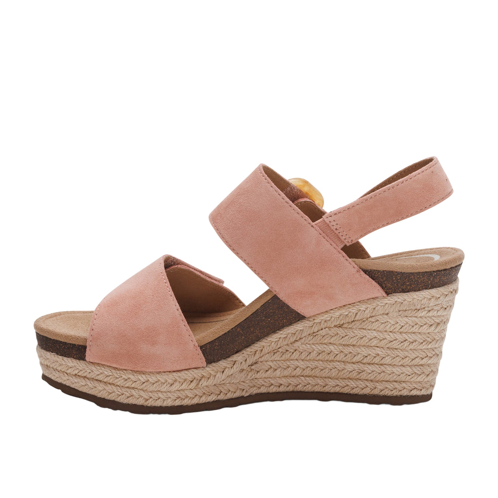 
                      
                        Ashley Wedge
                      
                    