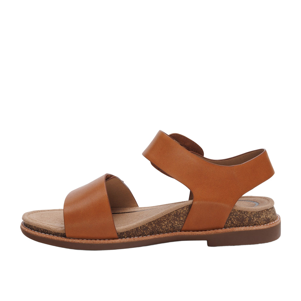 
                      
                        Ashley Wedge
                      
                    