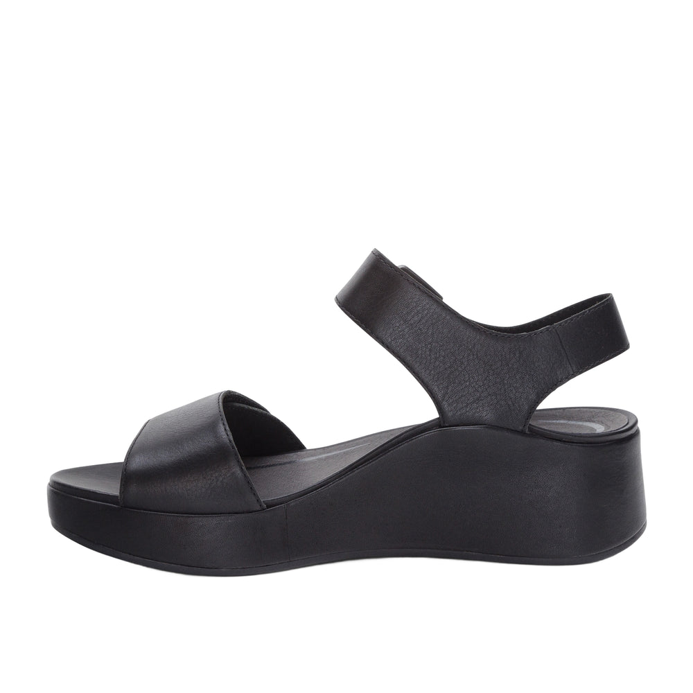 
                      
                        Ariel Wedge
                      
                    